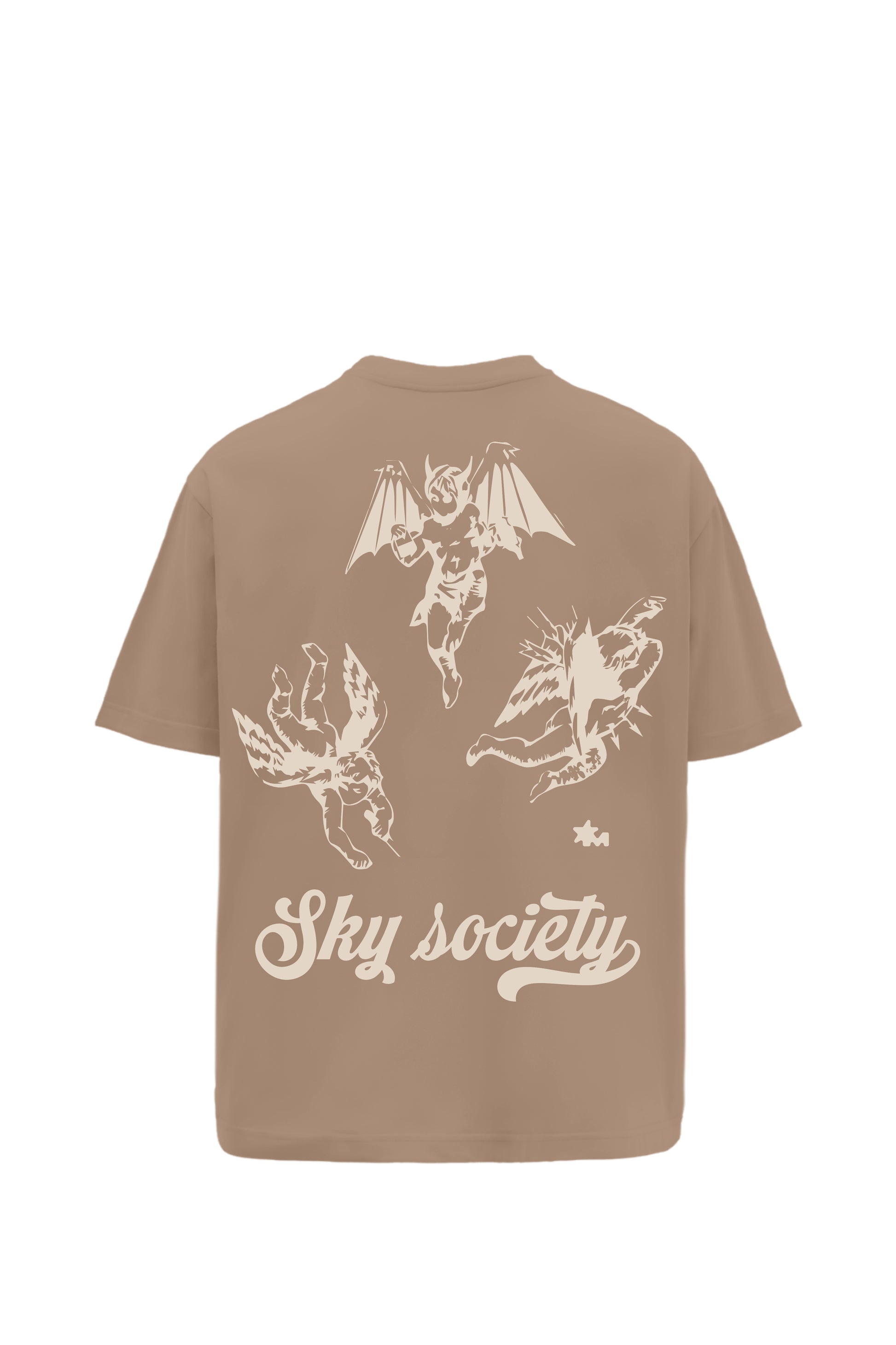 Buy Sky Society Light brown oversized t-shirt Online at Main Character India