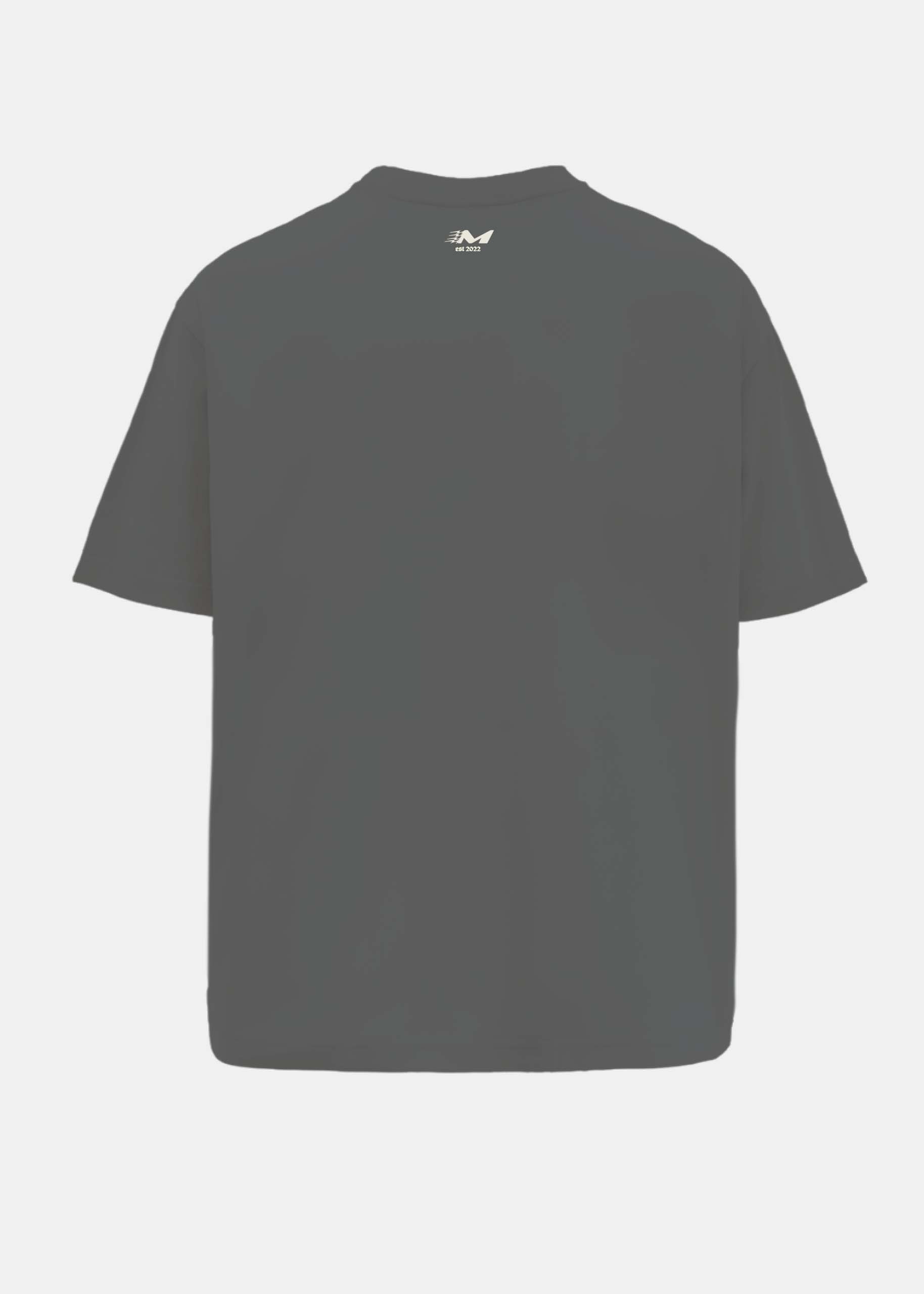 Buy Overseas Smokey Grey Oversized T-Shirt Online at Main Character India