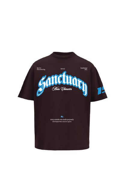 Buy Sanctuary Brown Oversized t-shirt Online at Main Character India